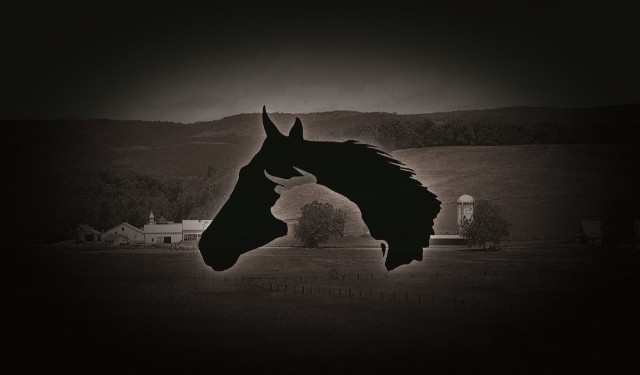 Black Diamond Ranch, LLC Logo